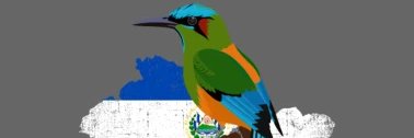 AtilioSam's profile banner image