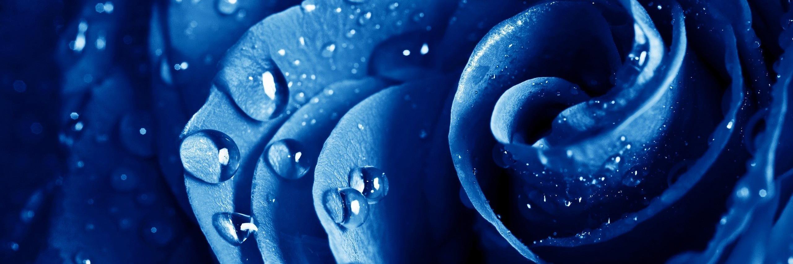 Turid Kristensen banner