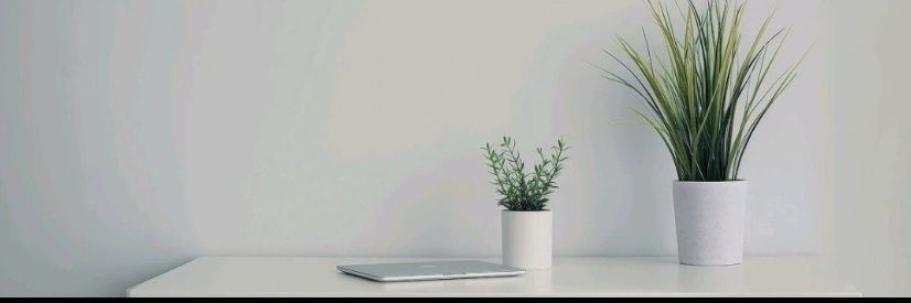 ima804's profile banner image
