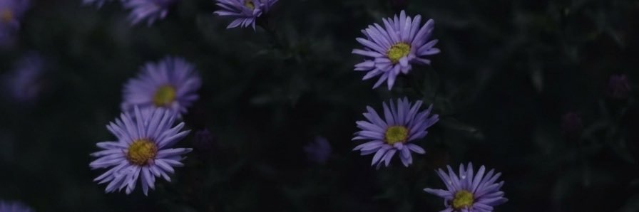mainosuke0_0's profile banner image