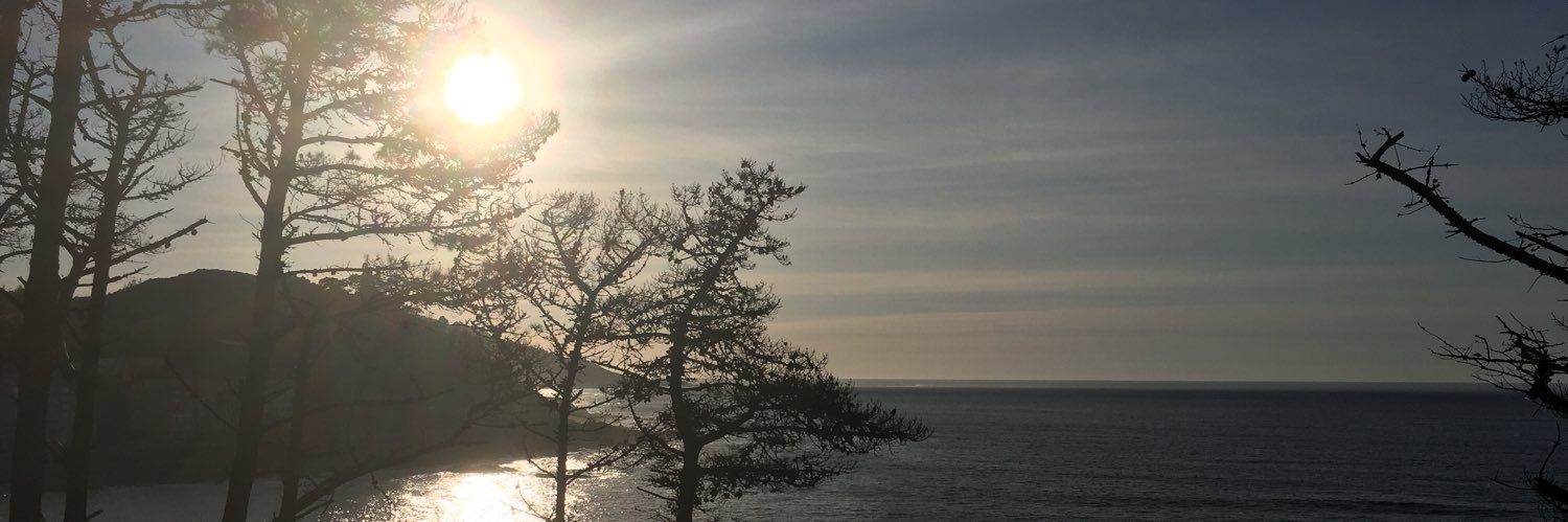 rociosergo's profile banner image
