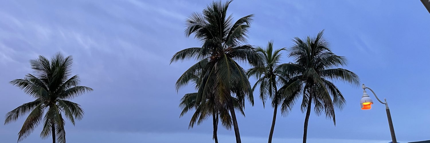vicmariee1's profile banner image