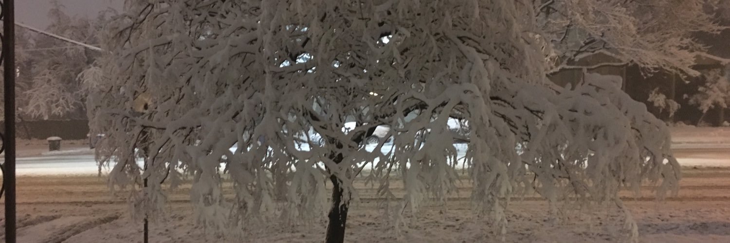 Tracy W 🇨🇦 banner