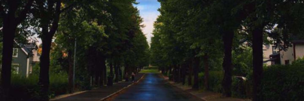 anoO1996's profile banner image
