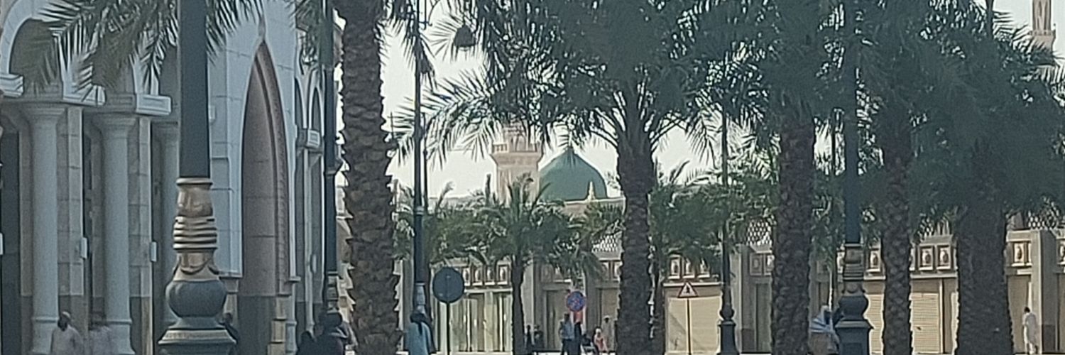 Basit Saeed Ali banner