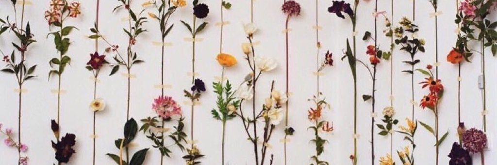 ka_lopez_'s profile banner image
