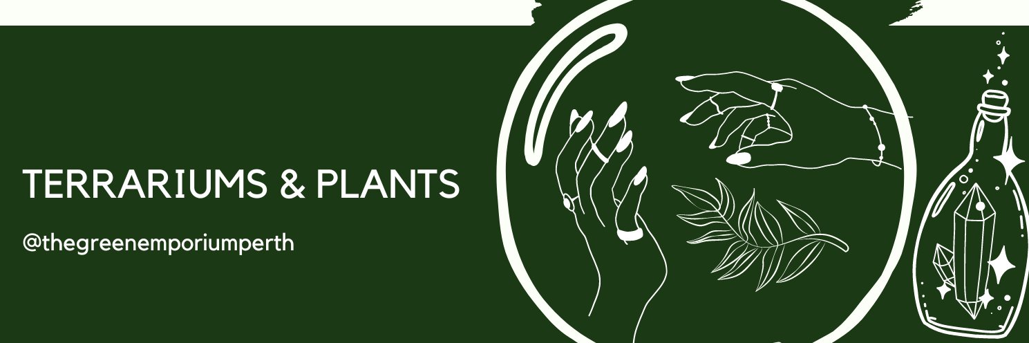 TerrariumPerth's profile banner image