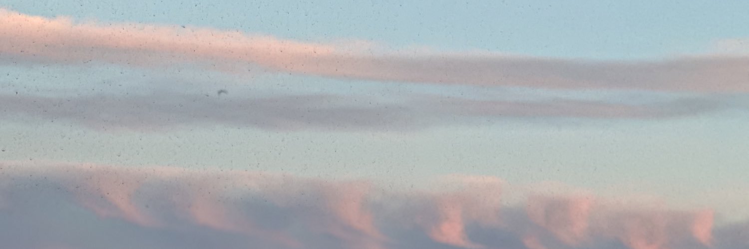Rayanpresents's profile banner image