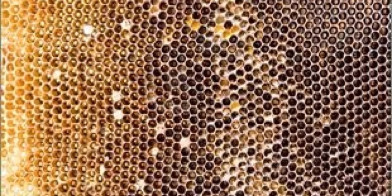 AlexMichelle16's profile banner image