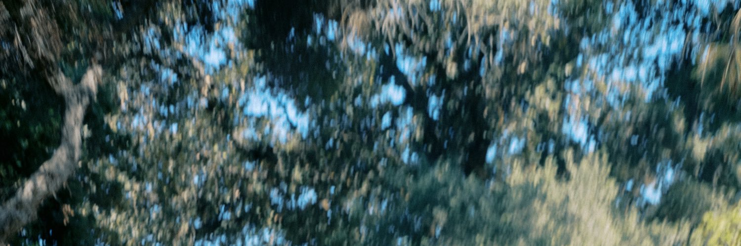 alessdegasperis's profile banner image