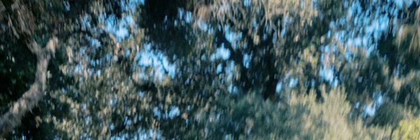 alessdegasperis Profile Banner