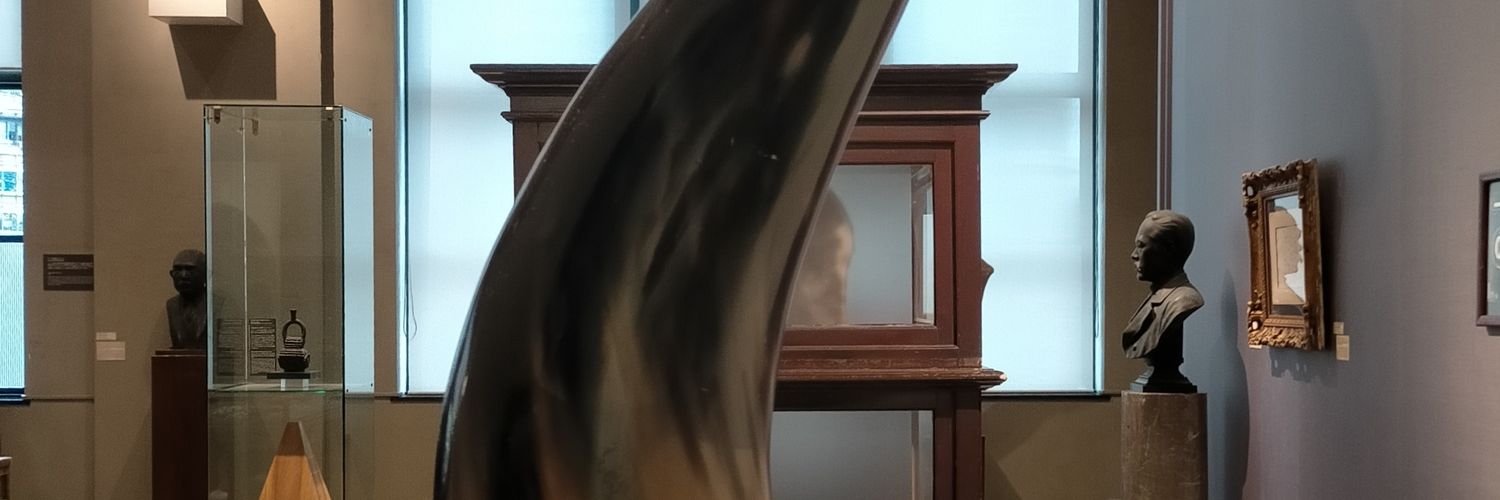 Sonflpf's profile banner image