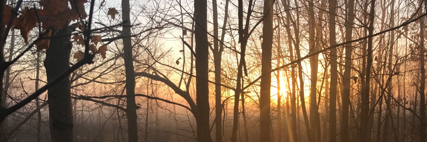 JakinWalsh's profile banner image