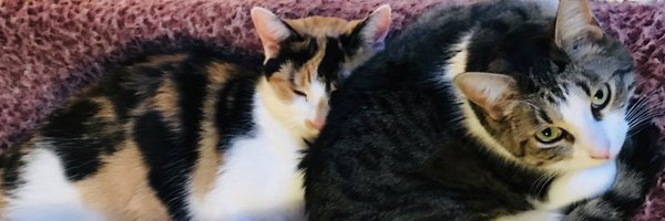 GabnDad Profile Banner