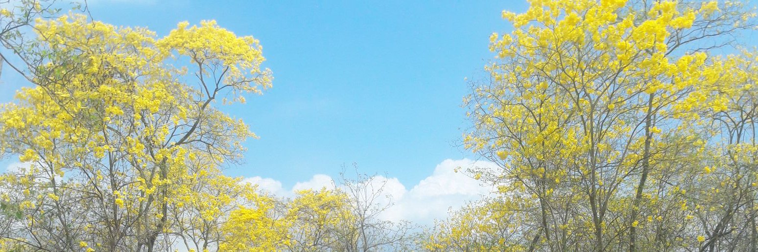 Erikucha04's profile banner image
