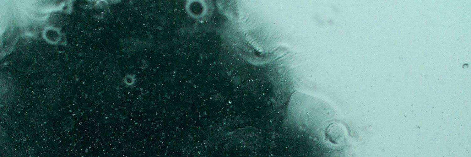 vtoose's profile banner image