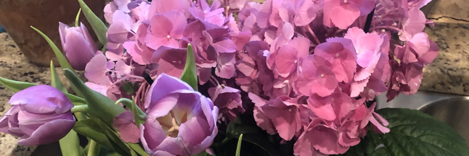 AmythePaige's profile banner image