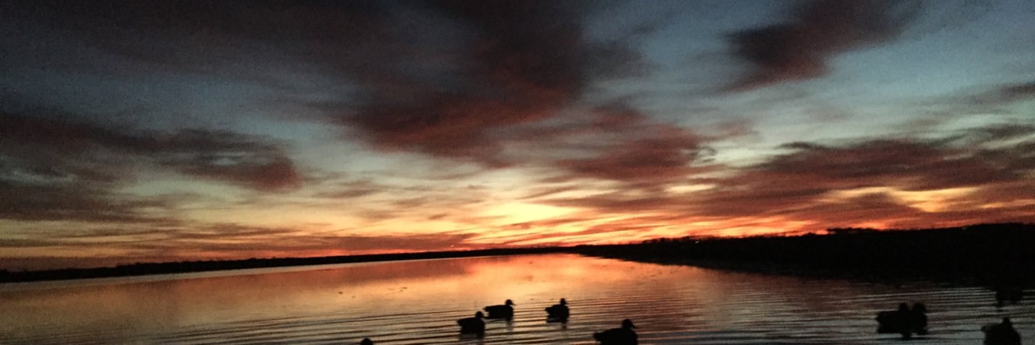 BobSnell's profile banner image