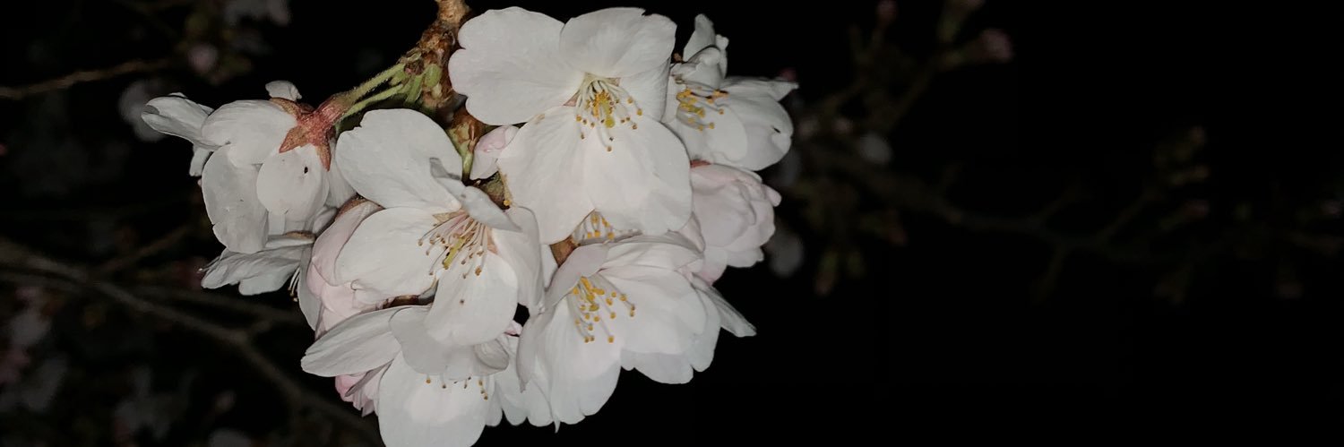 Halking888's profile banner image