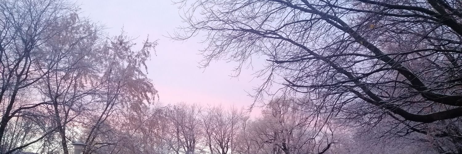 Krysnh's profile banner image