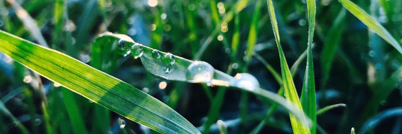 fikte's profile banner image