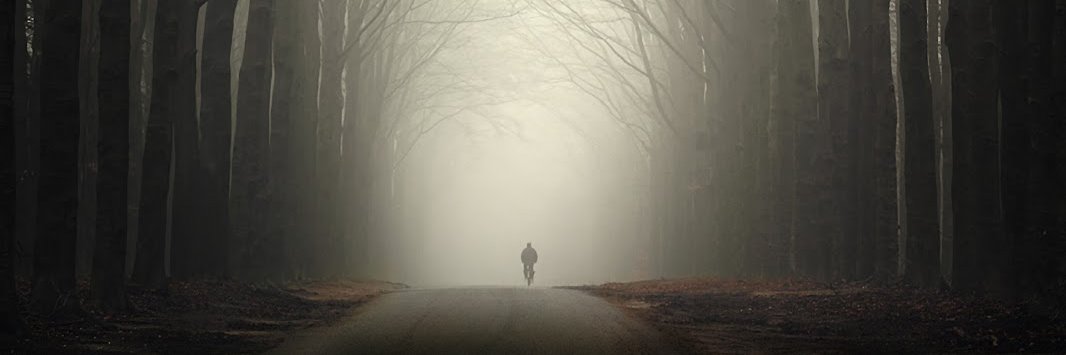 Abiola De Lagoa banner