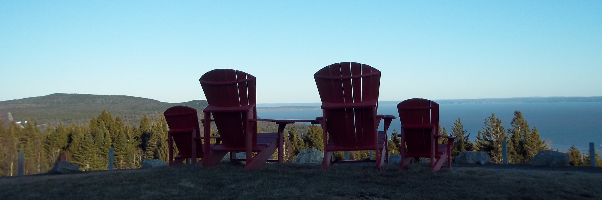 Barbara Phinney banner