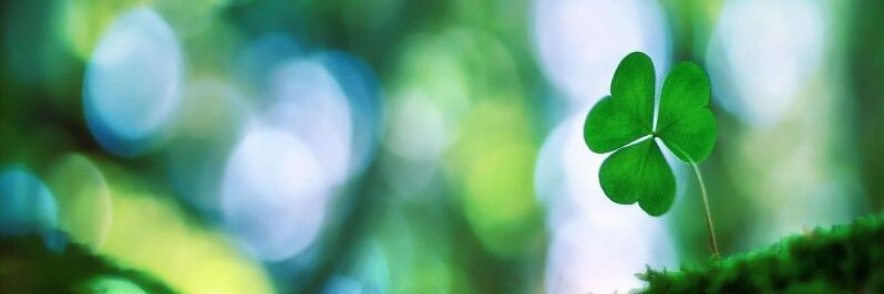 alessientha's profile banner image