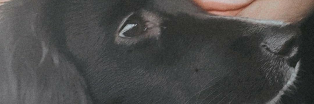 Crackfoxx's profile banner image