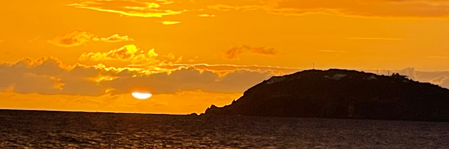 Michael Novaria banner