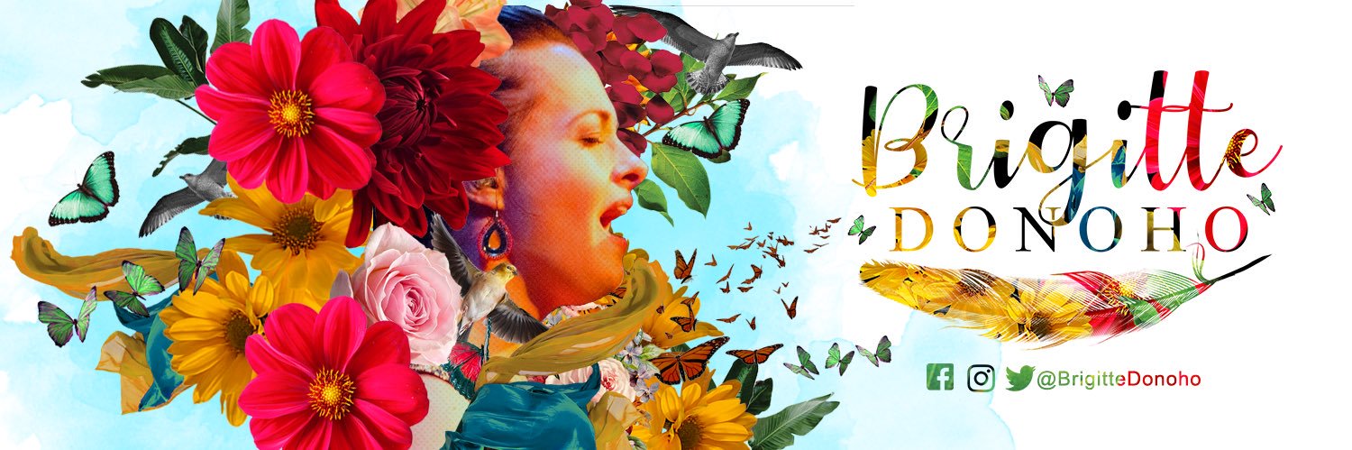 brigittedonoho's profile banner image