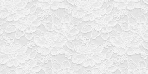 dreamingstydia's profile banner image