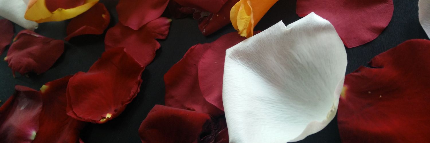 Frodonic_'s profile banner image