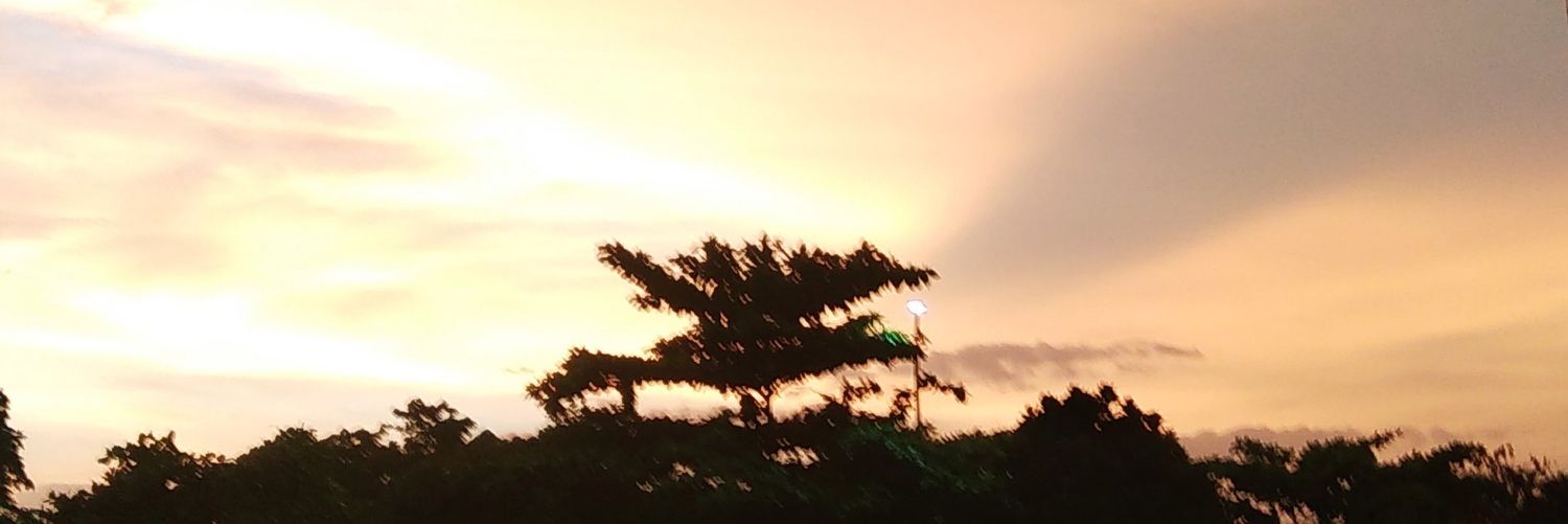 Yoyok CJ Widjiasto banner