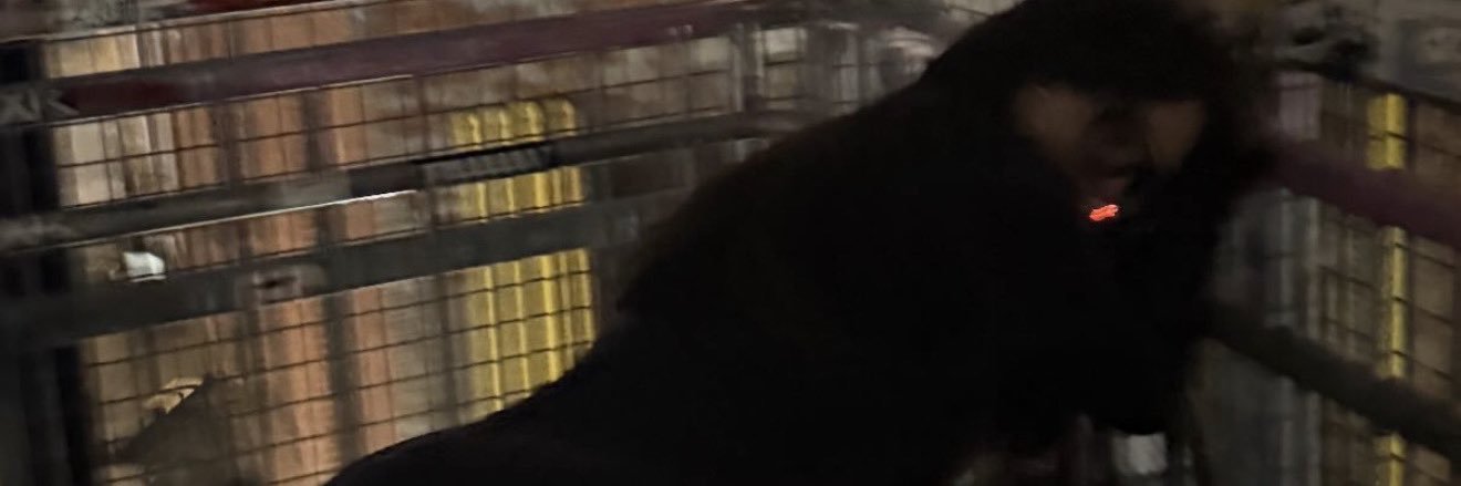 KoudieLove's profile banner image