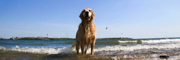 Ewingsports Profile Banner