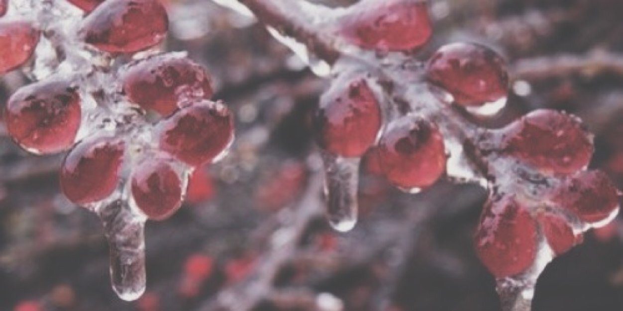 wesleyspgdr's profile banner image
