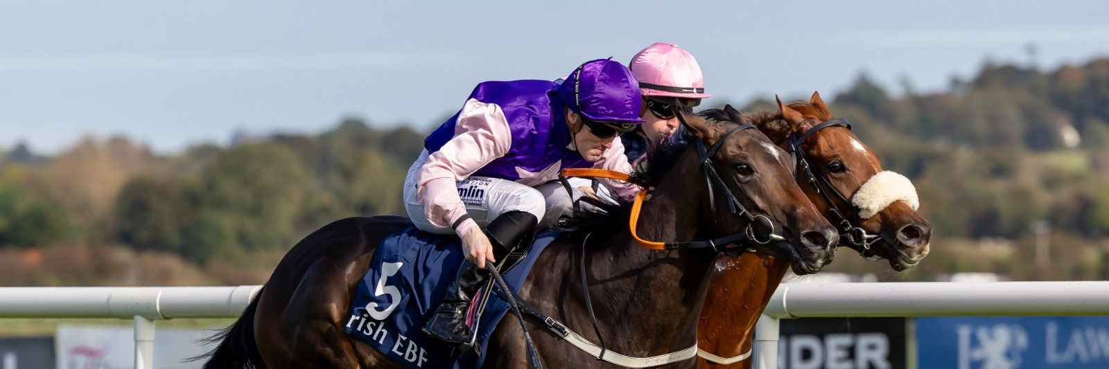 Declan McCormack banner