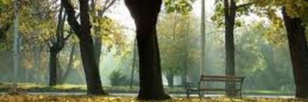 planetchanges Profile Banner