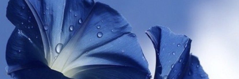 ll_600's profile banner image