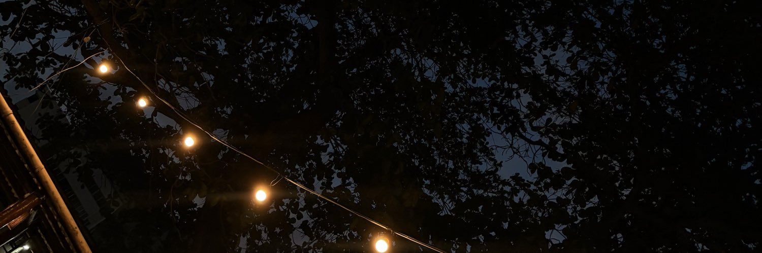 celinemeloo's profile banner image