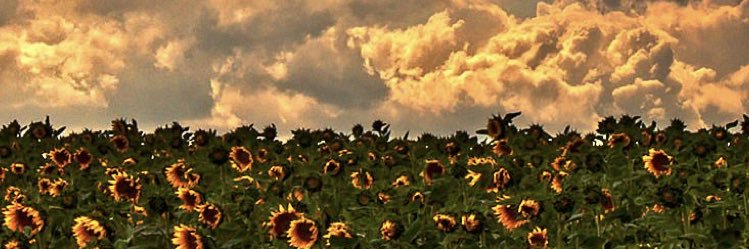 BeLIeVE_BRI's profile banner image