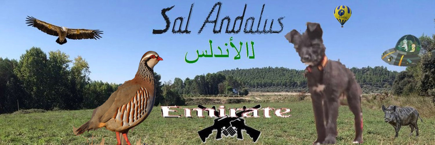 salandalus's profile banner image