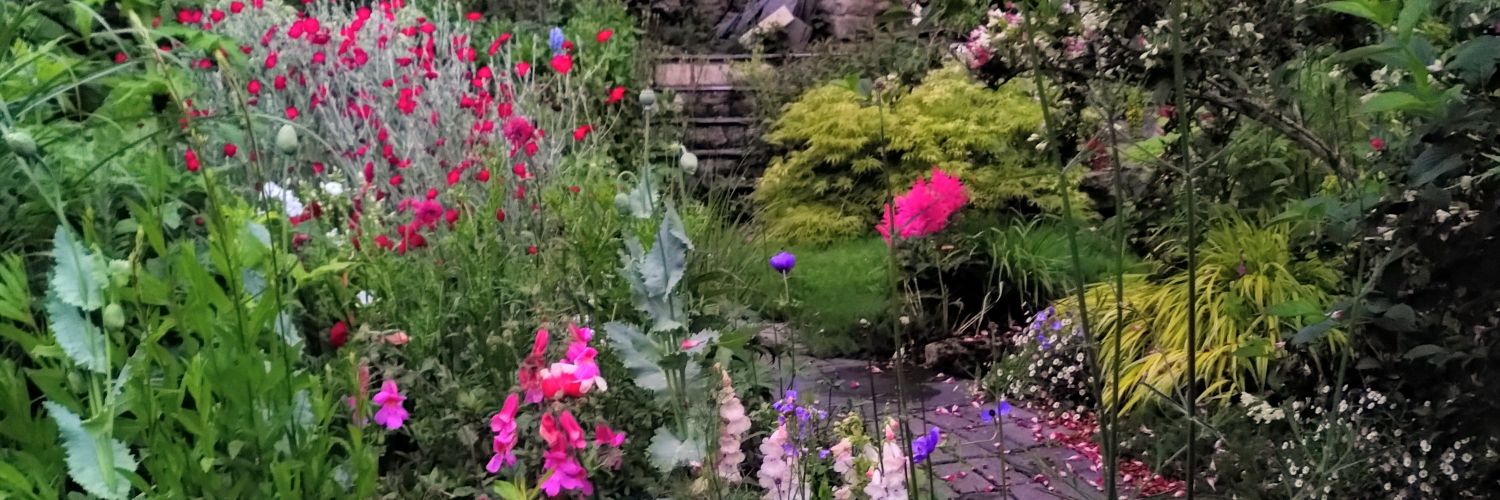 Marchelle Farrell banner