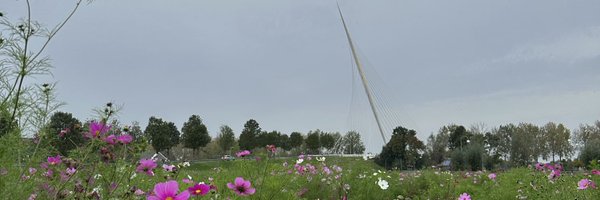 TrudievantHull Profile Banner