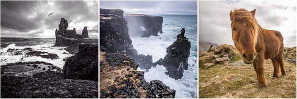 SusanDavidPhoto Profile Banner