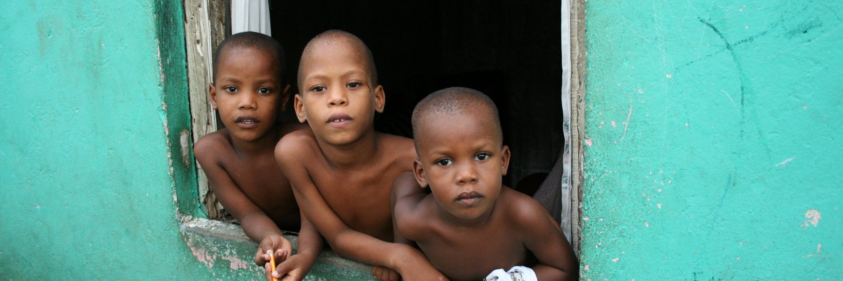 Semi di Pace ODV banner