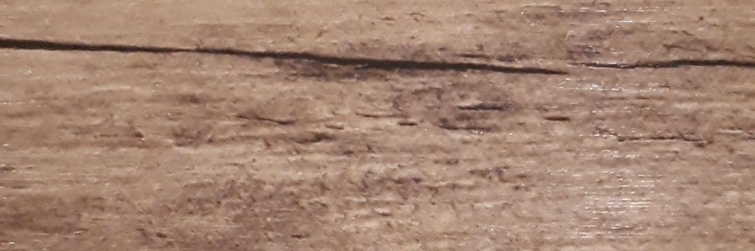 AnOddityorTwo's profile banner image