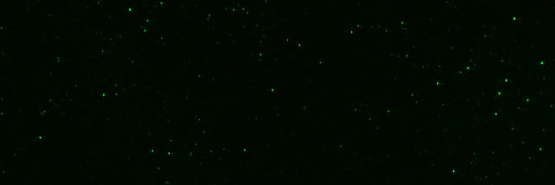 Omomowo Sunday Adetayo banner