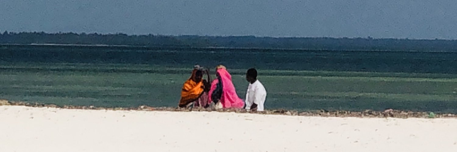 Anne-Florence Evroux banner